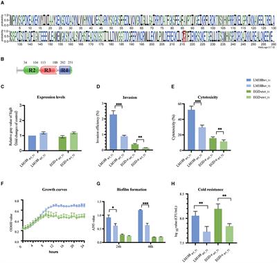 Large–scale genetic analysis and biological traits of two SigB factors in Listeria monocytogenes: lineage correlations and differential functions